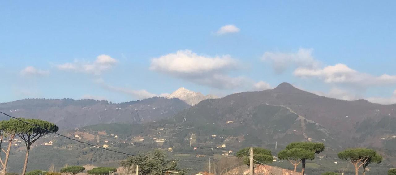 Apartamento Domus Zoe Forte dei Marmi Exterior foto